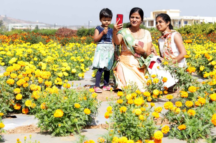 ಹಣ್ಣು, ಹೂವಿನ‌ ಕಲಾಕೃತಿಯಲ್ಲೂ ಕೋವಿಡ್ ವಾರಿಯರ್ಸ್ ಗಳಿಗೆ ಗೌರವ: ತೋಟಗಾರಿಕೆ‌ ಮೇಳ ಚಿತ್ತಾಕರ್ಷಕ