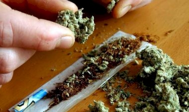 ಬಾಗಲಕೋಟೆಗೂ ಉಂಟು ಉಡ್ತಾ ಪಂಜಾಬ್ ನಂಟು..!