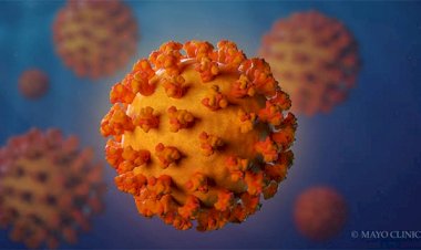 ಜಿಲ್ಲೆಯಲ್ಲಿ ಶತಕ ಬಾರಿಸಿದ ಕೋವಿಡ್: ವಿದ್ಯಾಗಿರಿ ಶಾಲೆಯ ಮತ್ತೆ ೮ ಮಕ್ಕಳಲ್ಲಿ ಸೋಂಕು ದೃಢ