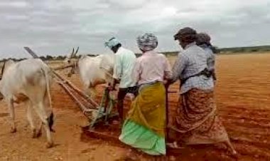 ಜಿಲ್ಲೆಯಲ್ಲಿ 2.65 ಲಕ್ಷ ಹೆಕ್ಟೆರ್ ಕ್ಷೇತ್ರದಲ್ಲಿ ಬಿತ್ತನೆ ಗುರಿ