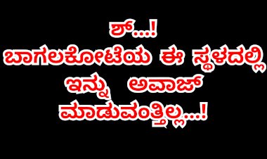 ಶ್.. ಸದ್ದು ಮಾಡಬೇಡಿ ಹುಷಾರ್...!
