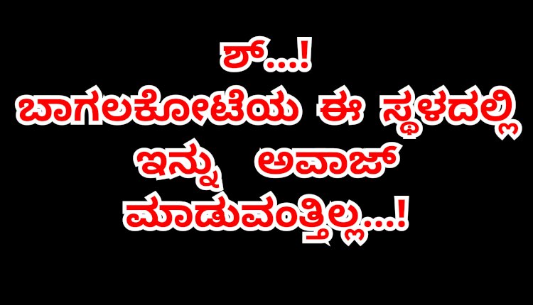 ಶ್.. ಸದ್ದು ಮಾಡಬೇಡಿ ಹುಷಾರ್...!