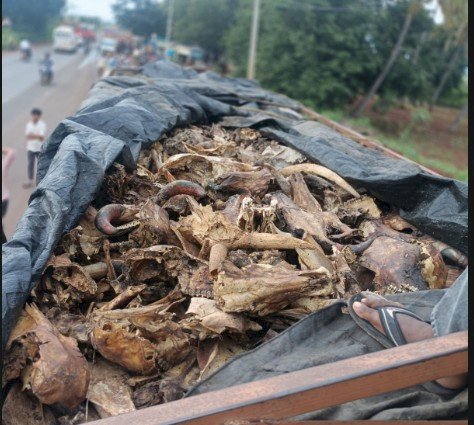 ಟನ್‌ಗಟ್ಟಲೇ ಗೋಮಾಂಸ ಸಾಗಿಸುತ್ತಿದ್ದ ವಾಹನ ಪತ್ತೆ ..!